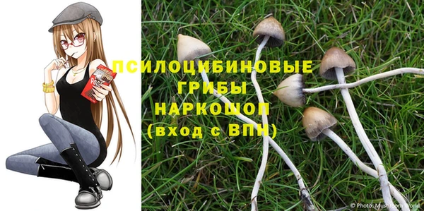 ГАЛЛЮЦИНОГЕННЫЕ ГРИБЫ Алексеевка