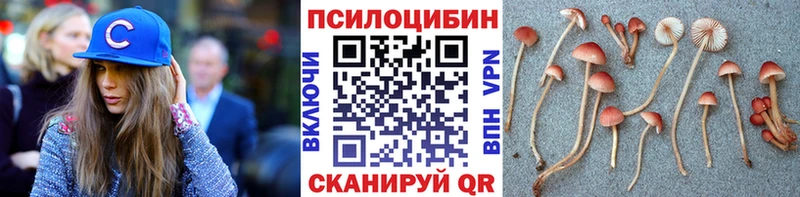 Псилоцибиновые грибы ЛСД Пугачёв